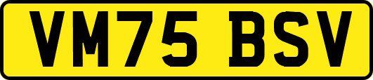 VM75BSV