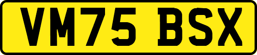 VM75BSX