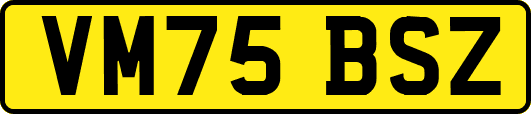 VM75BSZ