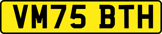 VM75BTH