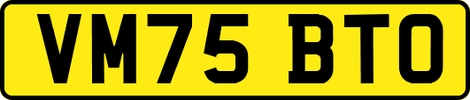 VM75BTO