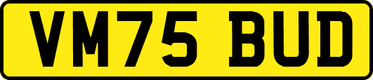 VM75BUD