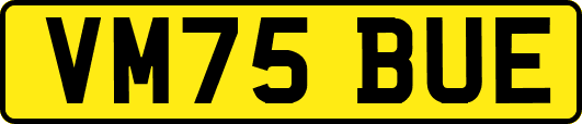 VM75BUE