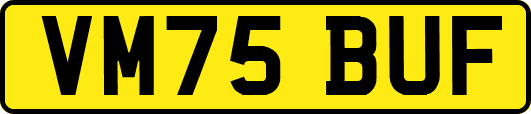 VM75BUF