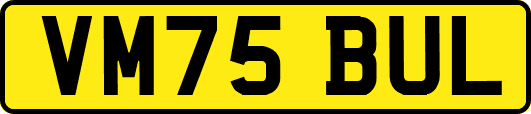 VM75BUL
