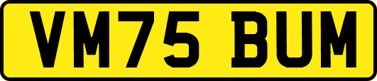 VM75BUM