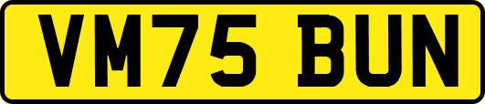 VM75BUN