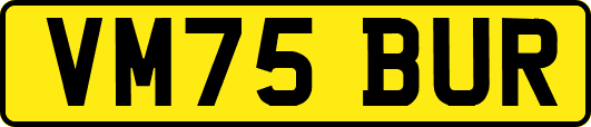 VM75BUR