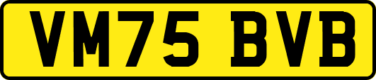 VM75BVB