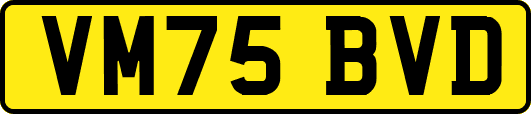 VM75BVD