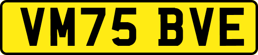 VM75BVE