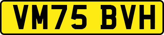 VM75BVH