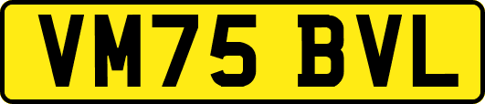 VM75BVL