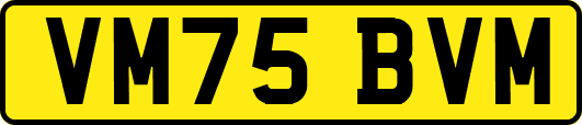 VM75BVM