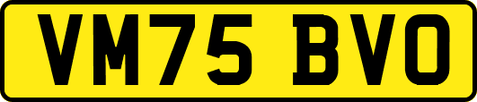 VM75BVO