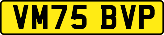 VM75BVP