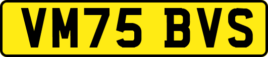 VM75BVS