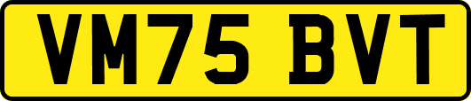VM75BVT