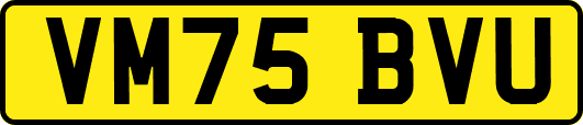 VM75BVU