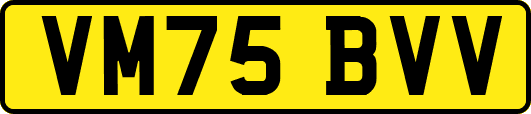VM75BVV