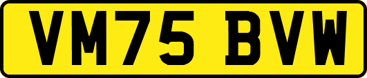VM75BVW