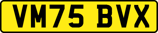 VM75BVX