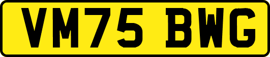 VM75BWG
