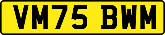 VM75BWM