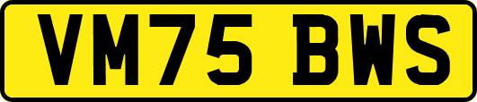 VM75BWS