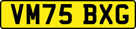 VM75BXG