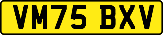 VM75BXV