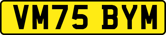 VM75BYM