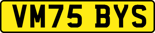 VM75BYS