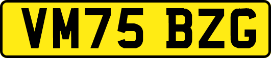 VM75BZG