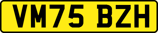 VM75BZH
