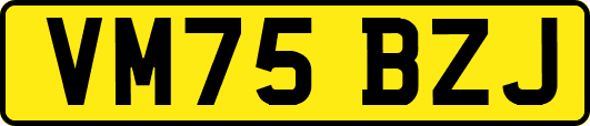 VM75BZJ