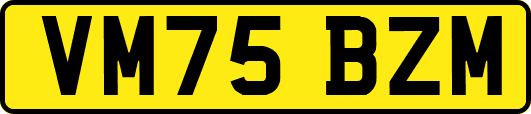 VM75BZM