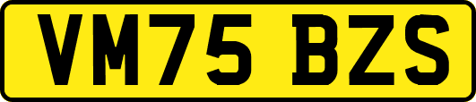 VM75BZS