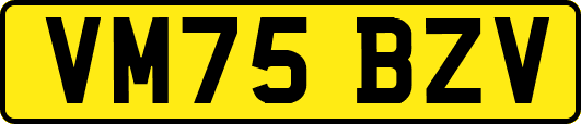VM75BZV