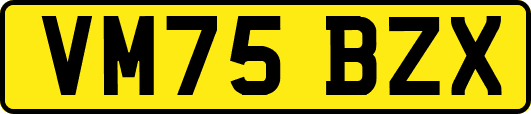 VM75BZX