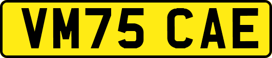 VM75CAE