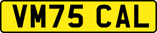 VM75CAL