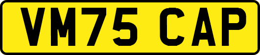 VM75CAP