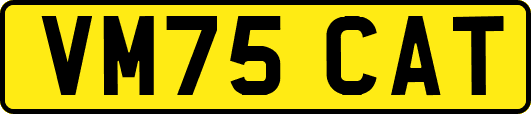 VM75CAT
