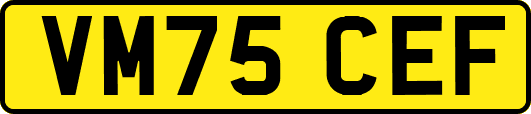 VM75CEF