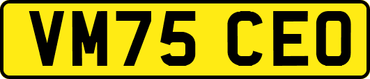 VM75CEO