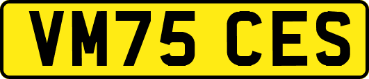 VM75CES