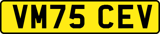 VM75CEV