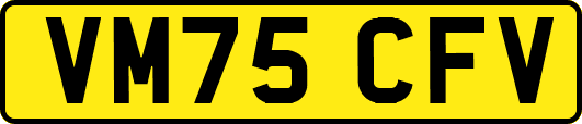 VM75CFV