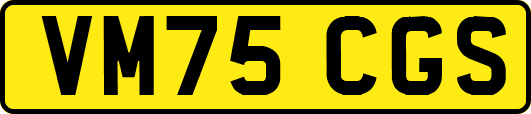 VM75CGS